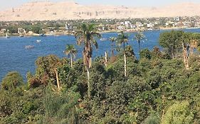 فندق نيو بولا 